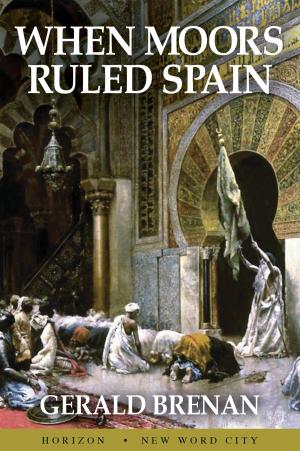 Cover of the book When Moors Ruled Spain by Steven M. Forman