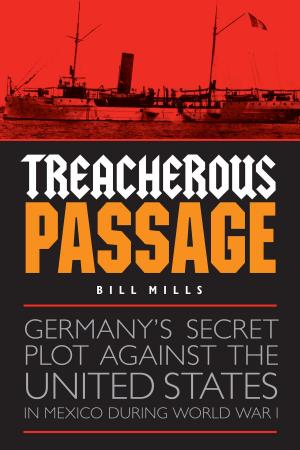 Book cover of Treacherous Passage