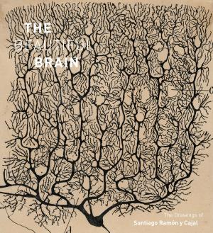 Cover of the book The Beautiful Brain by Norah Gaughan, Jared Flood