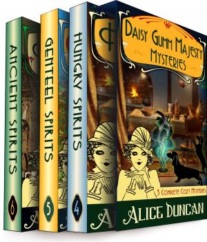 Cover of the book The Daisy Gumm Majesty Cozy Mystery Box Set 2 (Three Complete Cozy Mystery Novels in One) by Jay Kaplan