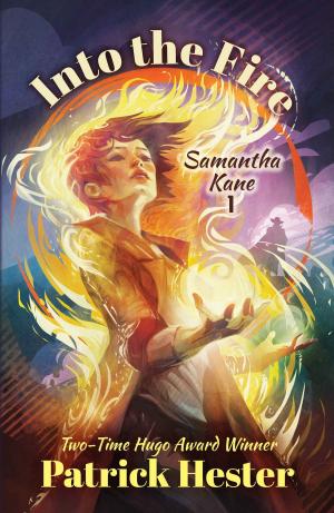 Cover of the book Into the Fire by Kevin J. Anderson, Kristine Kathryn Rusch, Larry Correia