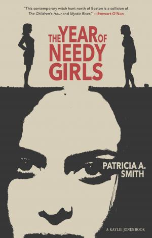 Book cover of The Year of Needy Girls