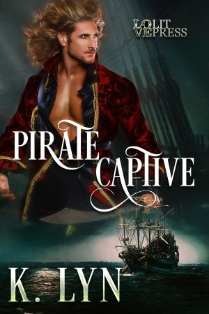 Cover of the book Pirate Captive by Meredith Webber