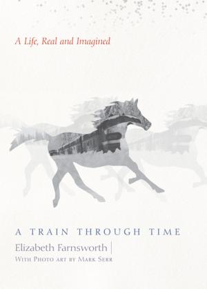 Cover of the book A Train through Time by Ron D Smith