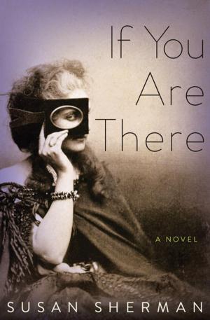 Cover of the book If You Are There by Eliot Pattison