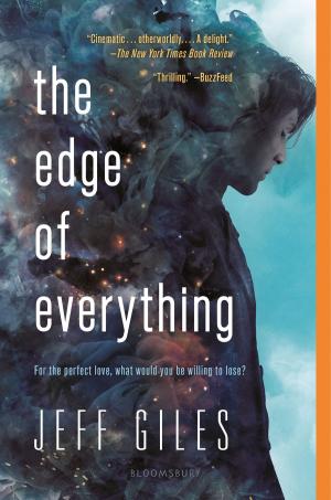 Cover of the book The Edge of Everything by Simone Panter-Brick