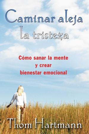Book cover of Caminar aleja la tristeza