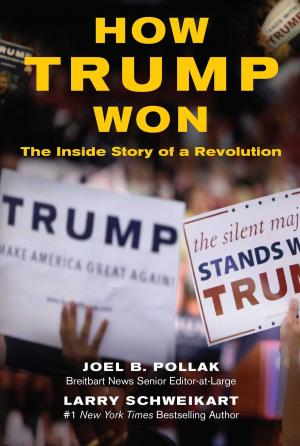 Cover of the book How Trump Won by John R. Lott Jr.