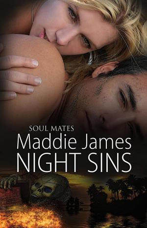 Cover of the book Night Sins by Dallis Adams