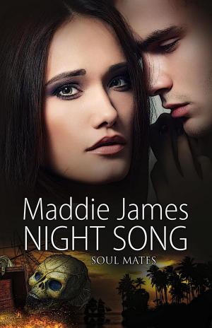 Cover of the book Night Song by FARY SJ OROH