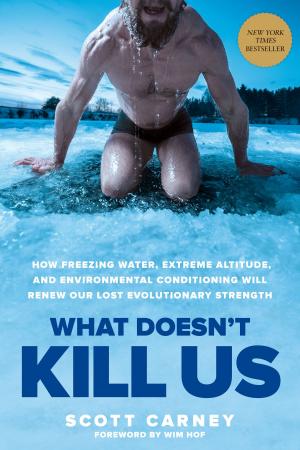 Cover of the book What Doesn't Kill Us by Ryan Tremblay