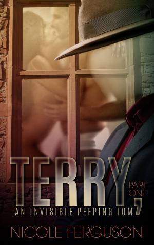 Book cover of Terry, An Invisible Peeping Tom: Part One