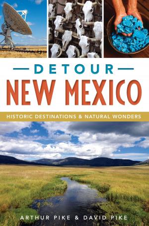 Cover of the book Detour New Mexico by Ross M. Curry