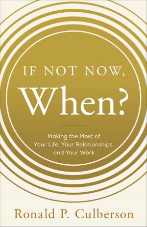bigCover of the book If Not Now, When? by 