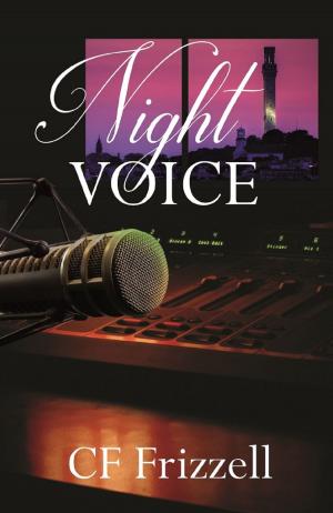Book cover of Night Voice