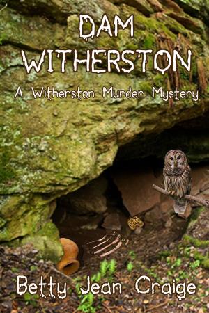 Cover of the book Dam Witherston by Daniel J. Barrett