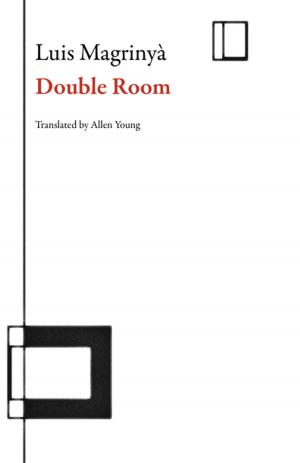 Cover of the book Double Room by Alvaro Enrigue