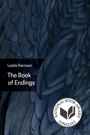 Cover of the book The Book of Endings by Anne Barngrover