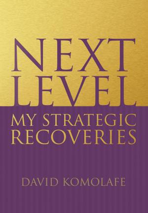 Cover of the book Next Level by Anna Rountree
