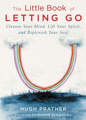 Cover of the book The Little Book of Letting Go by Keidi Keating