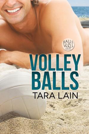 Cover of the book Volley Balls by John Inman