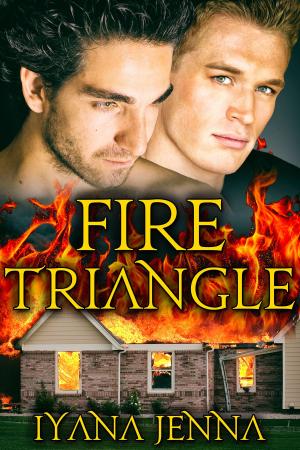 Cover of the book Fire Triangle by Addison Albright