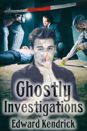 Book cover of Ghostly Investigations