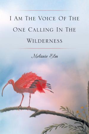 Cover of the book I Am The Voice Of The One Calling In The Wilderness by Teresa Olorunlowo
