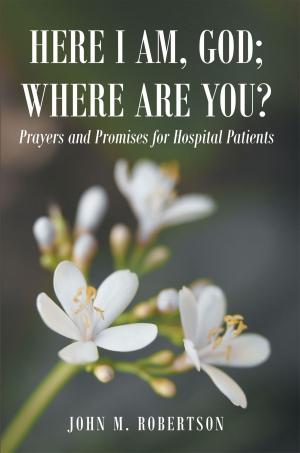 Cover of the book Here I Am, God; Where Are You? by Dr. Wisner Joseph Philemy, MD