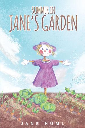 Cover of the book Summer In Jane's Garden by Jeffrey Samuel Steinman, PhD.