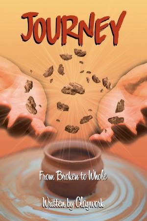 Cover of the book Journey by Dan Herod