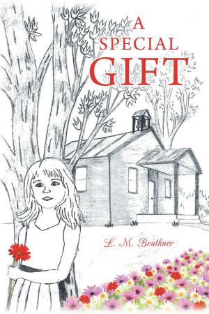 Cover of the book A Special Gift by Quivari Jackson