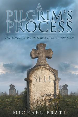 Cover of A Pilgrim's Process