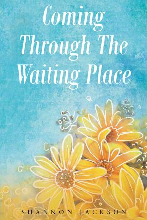Book cover of Coming Through The Waiting Place
