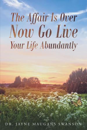 Cover of the book The Affair Is Over Now Go Live Your Life Abundantly by David Willard, Gretchen Willard