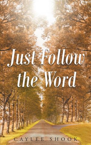 Cover of the book Just Follow the Word by Stan Belyshev