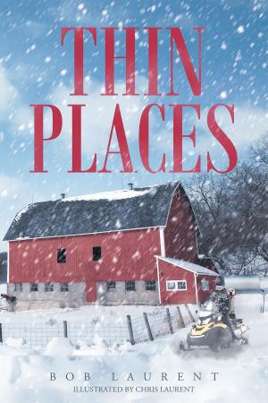 Cover of the book Thin Places by Marlene Burling