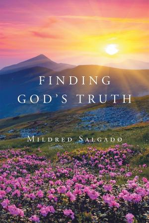 Cover of the book Finding God's Truth by Kemberly Cook