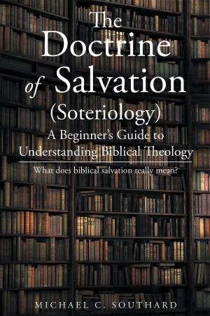 bigCover of the book The Doctrine of Salvation; A Beginner's Guide to Understanding Biblical Theology: What Does Biblical Salvation Reall by 