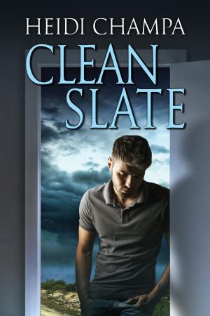 Cover of the book Clean Slate by D.J. Manly, A.J. Llewellyn