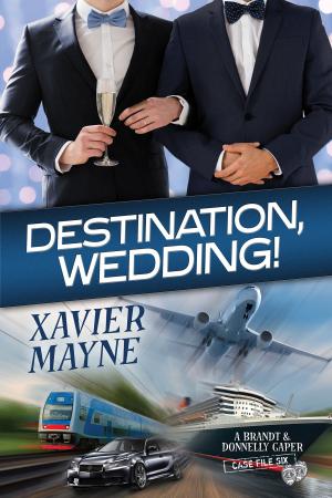 Book cover of Destination, Wedding!