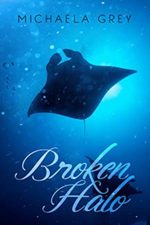 Cover of the book Broken Halo by Andrew Grey