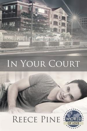 Book cover of In Your Court