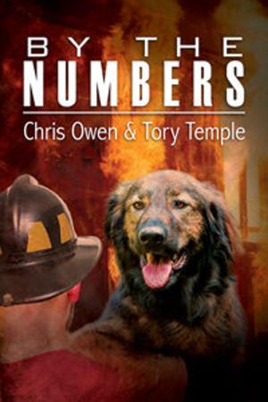 Cover of the book By the Numbers by Ariel Tachna