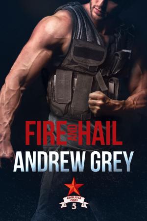 Cover of the book Fire and Hail by J.S. Cook