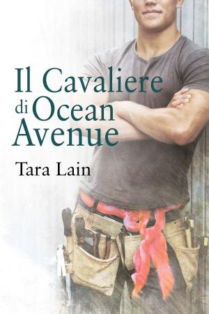 bigCover of the book Il Cavaliere di Ocean Avenue by 