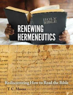 Cover of Renewing Hermeneutics