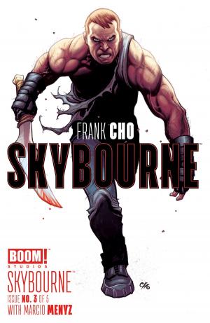 Cover of the book Skybourne #3 by Liz Prince