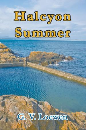Book cover of Halcyon Summer