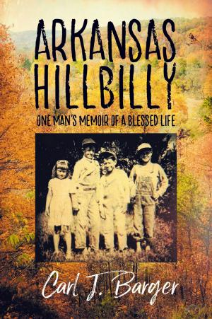 Cover of the book Arkansas Hillbilly by Patricia Kristensen